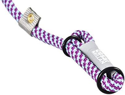 Cesar Millan Slip Lead Leash??- 2-in-1 Slip Collar Dog Training Lead & Collar | Heavy Duty Durable Weatherproof Rope Leash, No Pull Training | Length 4ft Diameter 4/10??Regular, Aqua/Purple)