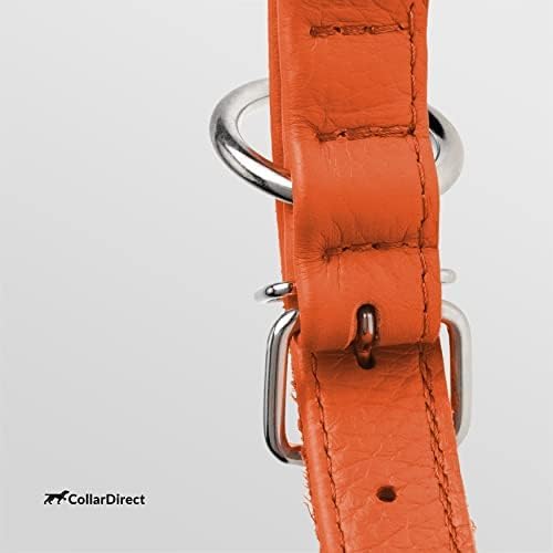 CollarDirect Rolled Leather Dog Collar, Soft Padded Round Puppy Collar, Handmade Genuine Leather Collar Dog Small Large Cat Collars 13 Colors (11-14 Inch, Orange Textured)