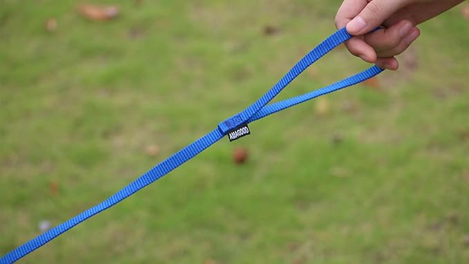 AMAGOOD 6 FT Cat Leash, Strong and Durable Traditional Style Leash with Easy to Use Collar Hook,Cat Lead Great for Cats (3/8 in x 6 ft,Black and Blue(2-Pack))