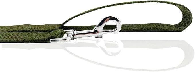 Nylon Dog Leash 12 Feet Long, Walking Training Dog Leashes for Medium Large Dogs(1" X 12 ft, Green)