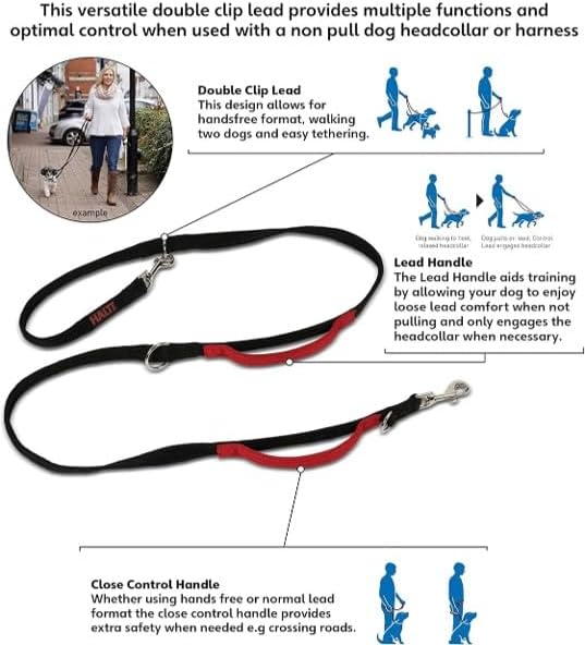 Halti Control Leash - Multifunctional Double-Ended Dog Leash with 2 Handles. Ideal for Anti-Pulling Dog Training. Lightweight & Durable. Suitable for Dogs & Puppies (Size Large, Black, 2m)
