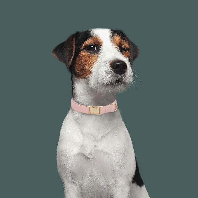 Soft Corduroy Fibric Dog Collar with High Grade Metal Buckle, for Large Dogs(Light Pink,Large:17-26")