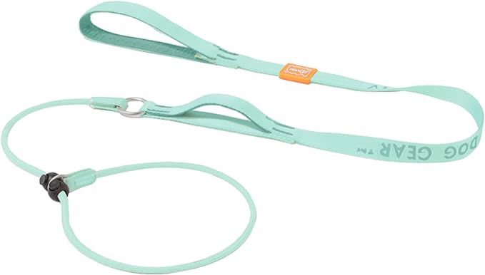 Howgo Dog Slip Lead Dog Leash, Training Lead, No-Pull Slip Leash and Collar, Heavy Duty & Durable Nylon, Padded Handle, for All Breeds (MintGreen, 5FT)