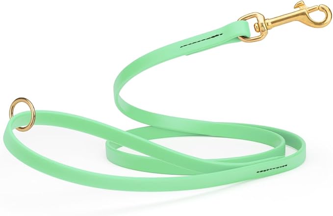 Viper Biothane K9 Working Dog Leash Waterproof Lead for Tracking Training Schutzhund Odor-Proof Long Line with Solid Brass Snap for Puppy Medium and Large Dogs 6ft, Sea Foam Green