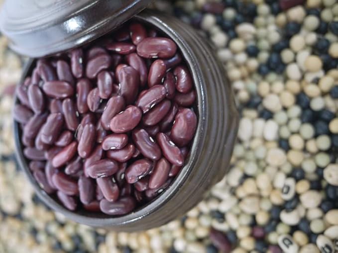 McCabe Organic Dark Red Kidney Bean - Red Kidney Beans | Rich with Fiber & Minerals | USDA and CCOF Certified | Packed in USA | 2Lbs (Pack of 2)