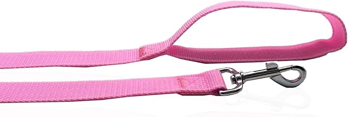 Nylon Dog Leash 12 Feet Long, Walking Training Dog Leashes for Medium Large Dogs(1" X 12 ft, Pink)