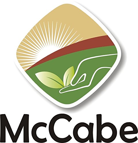 McCabe Organic Green Lentils - Green Lentils Organic | Rich with Fiber & Minerals | USDA and CCOF Certified | Product of USA | 1Lbs