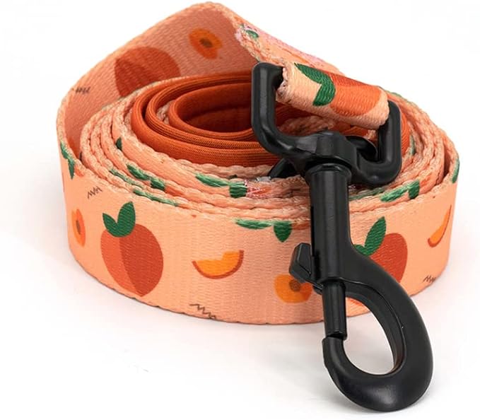 Dog Harness and Leash Set, Adjustable Dog Harness, Dog Leash, No Pull No Choke Puppy Harnesses for Walking Training for Small Medium Pet