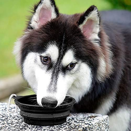 Kytely Large Collapsible Dog Bowls 2 Pack, 34oz Foldable Dog Travel Bowl, Portable Pet Water Food Bowl with Clasp, Pet Cat Feeding Cup Dish for Traveling, Walking, Hiking (Black+Balck)