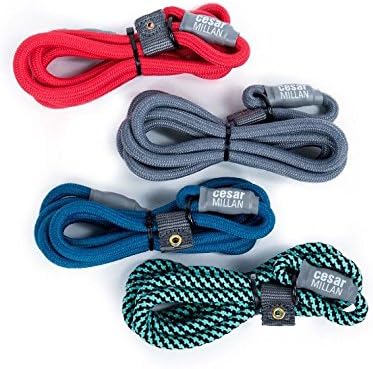 Cesar Millan Slip Lead Leash??- 2-in-1 Slip Collar Dog Training Lead & Collar | Heavy Duty Durable Weatherproof Rope Leash, No Pull Training | Length 4ft Diameter 1/2??Large, Grey)