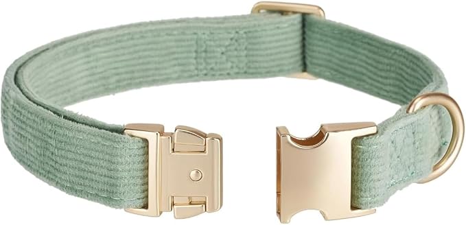 Cotton Fibric Dog Collar with High Grade Metal Buckle, for Small Dogs(Light Green,Small:10-15")