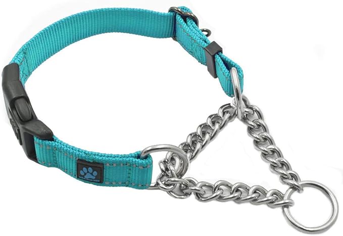 Max and Neo Stainless Steel Chain Martingale Collar - We Donate to a Dog Rescue for Every Collar Sold (Large, Teal)