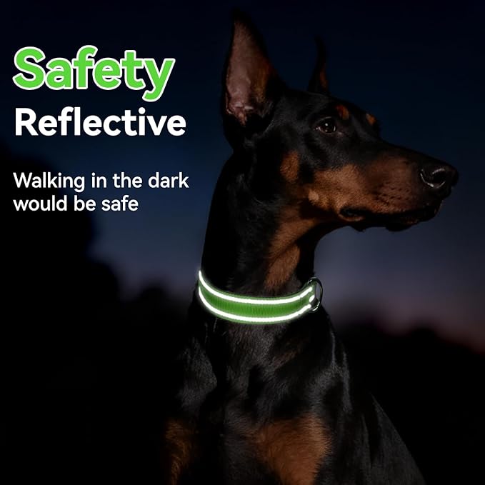 Reflective Dog Collar for Mediunm Dogs, Adjustable Collar with Soft Neoprene Padded, Durable Buckle for Daily Walking,Green,M, 3/4" Width