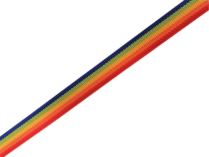 Nylon Dog Leash 12 Feet Long, Walking Training Dog Leashes for Medium Large Dogs(1" X 12 ft, Rainbow)