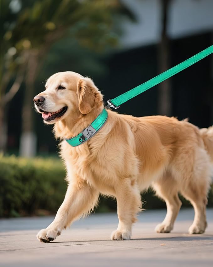 Joytale Dog Collar for Extra Large Dogs, Neoprene Padded and Adjustable, Reflective Wide Heavy Duty Pet Collars with Durable Metal Belt Buckle for Walking, Teal, XL