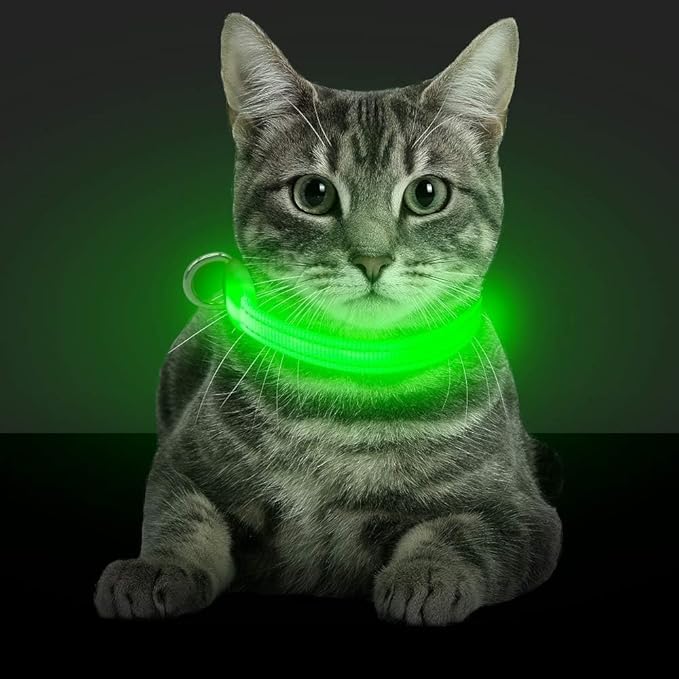 BSEEN Light Up Dog Collars - Glowing LED Dog Collar Rechargeable Puppy Collar for Small Dogs & Cats, Safety Dog Lights for Night Walking (Green)