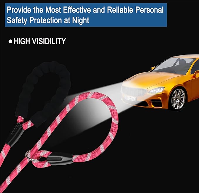 Durable Dog Leash, 6 FT Strong Training Dog Leash with Comfortable Padded Handle and Highly Reflective Threads for Small Medium and Large Dogs, (Pink)