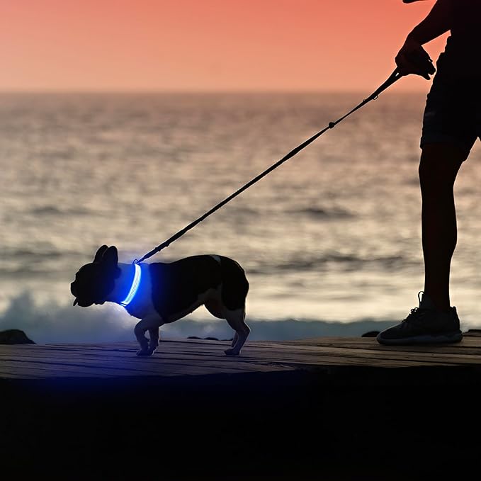Illumifun Light Up Dog Collar, USB Rechargeable LED Dog Collar, Adjustable Reflective Lighted Pet Collar for Night Walking Camping (Blue?? Large)