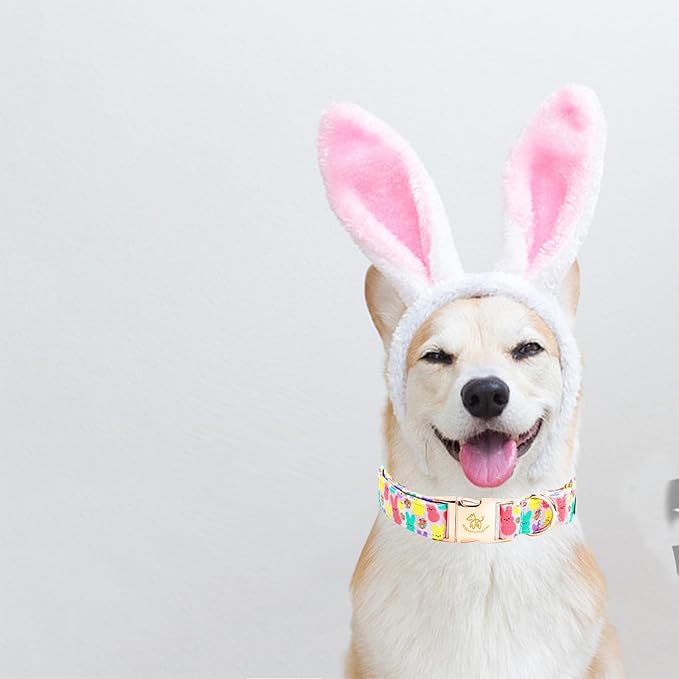 Elegant little tail Easter Dog Collar, Bunny Print Pet Collar Durable Cotton Dog Collars Girl or Boy Metal Collars Holiday Pet Gift Adjustable Dog Collar for Large Dogs