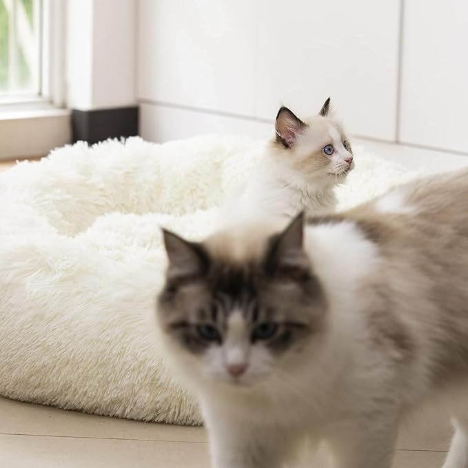 Anti Anxiety Round Fluffy Plush Faux Fur Warm Washable Dog Bed & Cat Bed, Original Bed for Small Medium Large Pets,Used to Relieve Joints and Improve Sleepï¼?0"/24"/27''ï¼?(27", White)