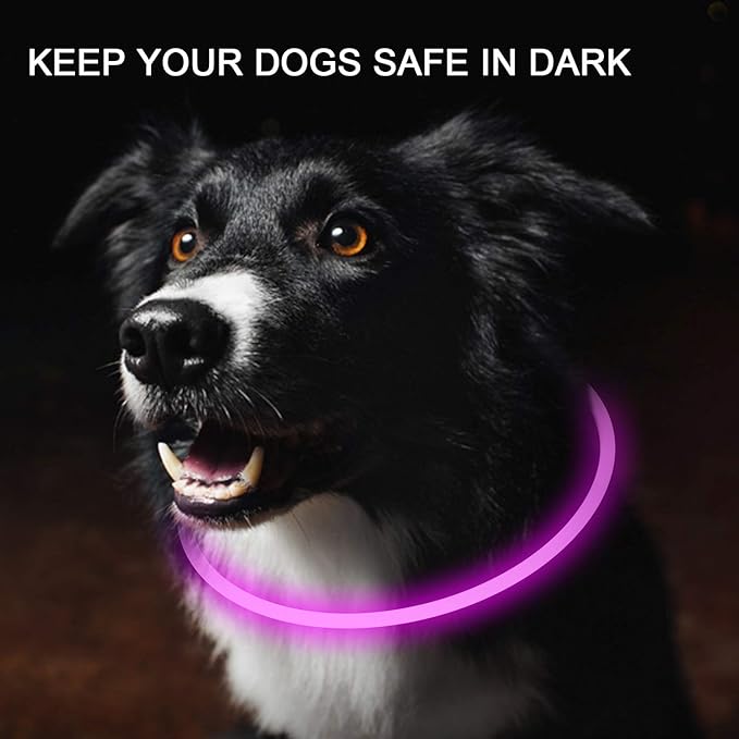 2-Pack LED Dog Collar, Light Up Dog Collars,Rechargeable Dog Lights for Night Walking，Universal, Reusable Safety Necklace for Small Medium Large Dogs RED&Pink