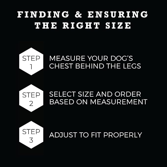 Wolfgang Heavy Duty Adjustable Dog Harness, Pull-Tested to Over 800 lbs for Walking & Training, SunsetPalms Print, Medium