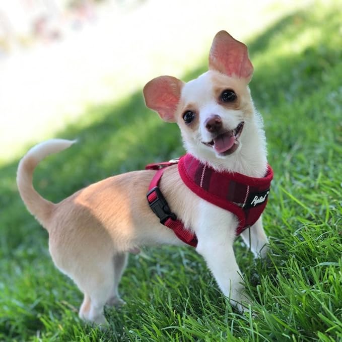 PUPTECK Soft Mesh Dog Harness and Leash Set Pet Puppy Cat Comfort Padded Vest No Pull Harnesses, Red, M