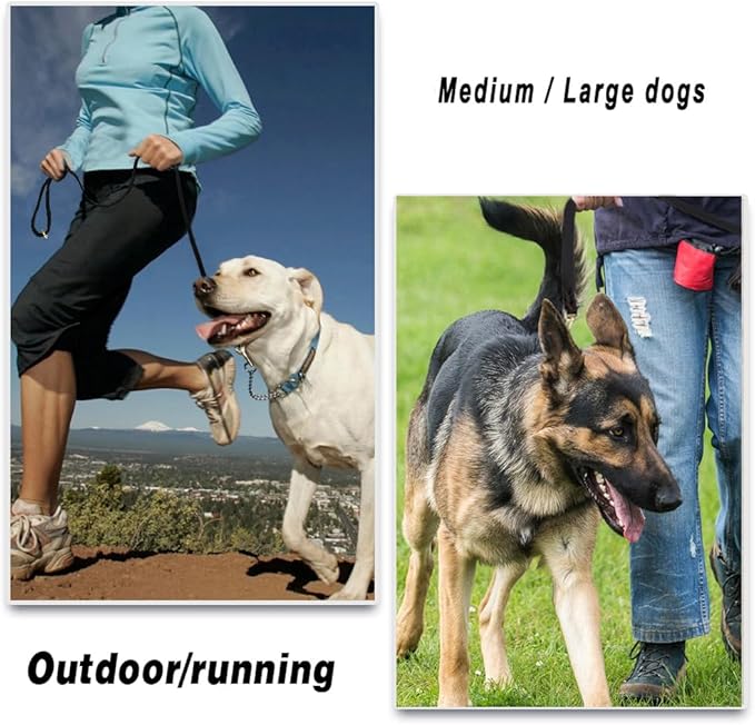LWBMG Black Leather Dog Leash 6ft x 5/8", Heavy Duty Dog Leash, Strong Sturdy Genuine Leather Dog Leash, Soft Braided Leather Leash for Large, Medium and Small Dogs Training