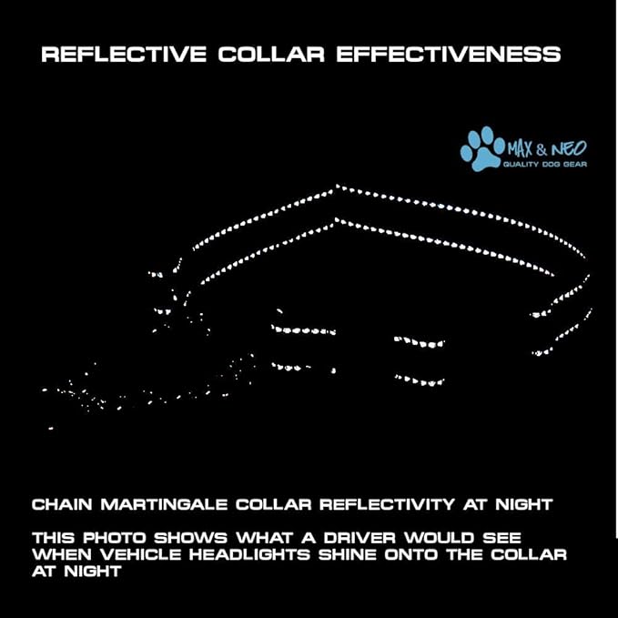 Max and Neo Stainless Steel Chain Martingale Collar - We Donate to a Dog Rescue for Every Collar Sold (Large, Purple)