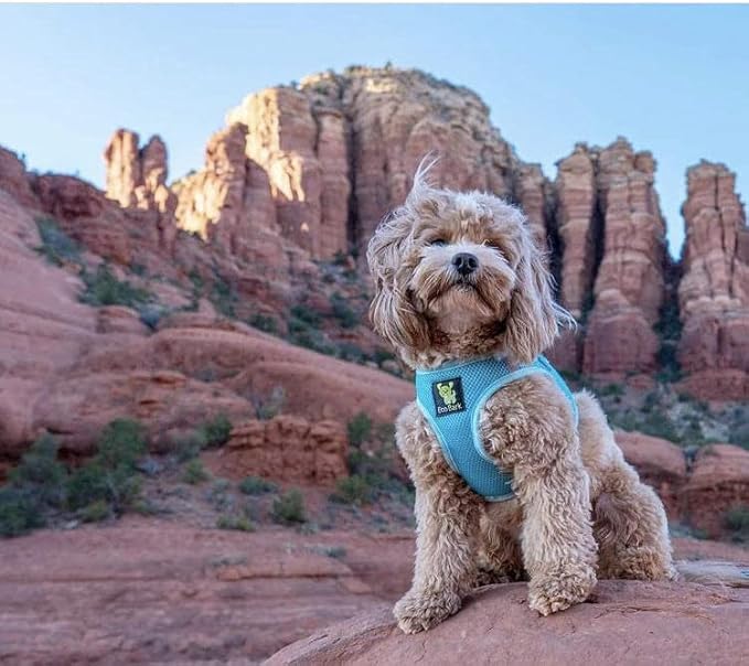EcoBark Step in Dog Harness - Eco-Friendly Dog Harnesses for Small and Medium Breed Dogs - Reflective and Adjustable Body Halter Vest - Soft Mesh Toy Breed Harness (Blue, Large)