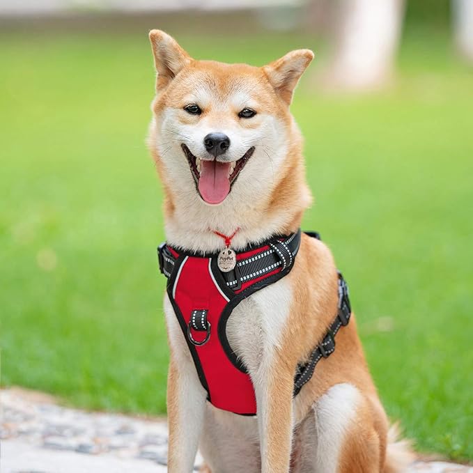 PoyPet No Pull Dog Harness, Reflective Comfortable Vest Harness with Front & Back 2 Leash Attachments and Easy Control Handle Adjustable Soft Padded Pet Vest for Small to Large Dogs (Red,XS)
