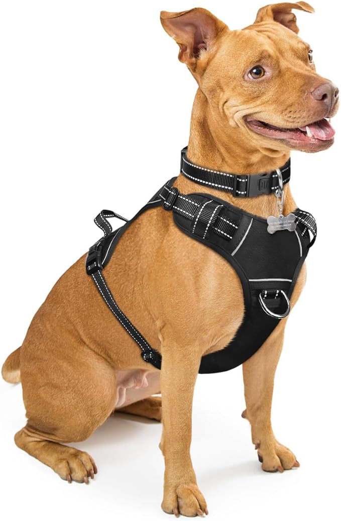 WINSEE Dog Harness No Pull, Pet Harnesses with Dog Collar, Adjustable Reflective Oxford Outdoor Vest, Front/Back Leash Clips for Small, Medium, Large, Extra Large Dogs, Easy Control Handle for Walking