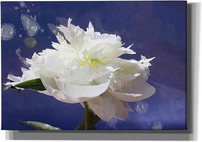 Epic Graffiti 'White Peony-Scents of Heaven' by Irena Orlov, Canvas Wall Art, 26"x18"