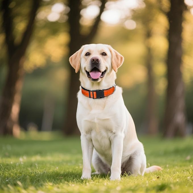 Reflective Dog Collar for Extra Large Dogs, Adjustable Collar with Soft Neoprene Padded, Durable Buckle for Daily Walking,Orange,XL