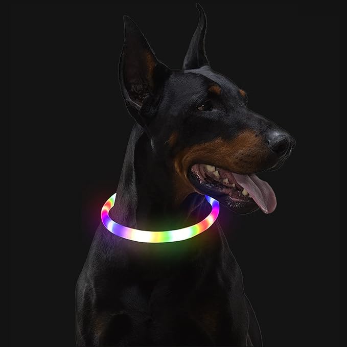 Light Up Dog Collar, Rechargeable Glowing Dog Collar, Light Dog Collar for Night Walking with 1640 FT of Visibility - Brightest LED Dog Collar Light, 3 Flashing Modes, Keeps Your Pets Safe in The Dark
