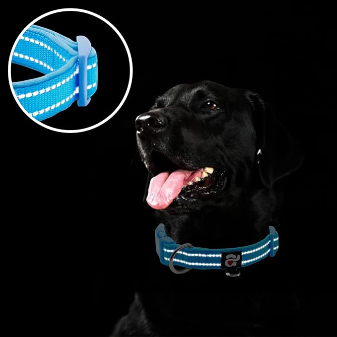 azuza Reflective Dog Collar,Soft Neoprene Padded Pet Collar with ID Tag Ring,Adjustable for Medium Dogs,Sky Blue,M