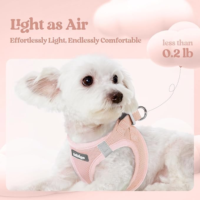 rabbitgoo Dog Harness Small Sized and Leash Set, Step in Soft Light Puppy Vest, Breathable Mesh Pet Harness, Reflective for Safe Outdoor Walking, Pink XXS