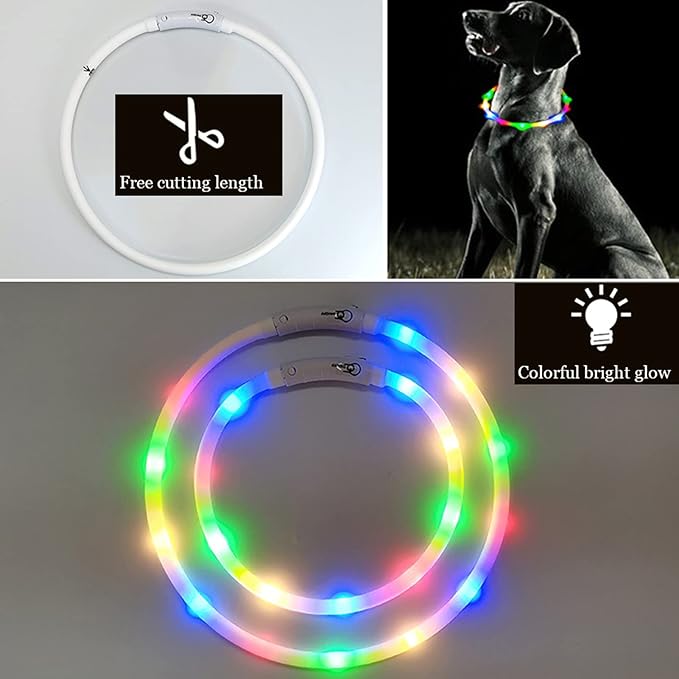 Light Up Dog Collar, Rechargeable Glowing Dog Collar, Light Dog Collar for Night Walking with 1640 FT of Visibility - Brightest LED Dog Collar Light, 3 Flashing Modes, Keeps Your Pets Safe in The Dark