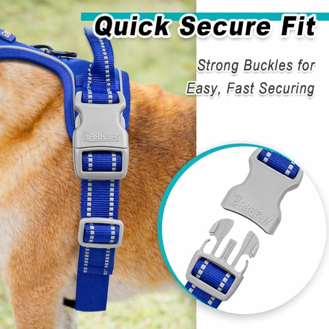 BARKBAY Dog Harness No Pull Mesh for Small Dogs - Adjustable, Reflective, Comfortable, No Choke, Heavy-Duty - Perfect for Outdoor Training, Walking, and Hiking-Strong&Durable- XS & Sapphire Blue Mesh