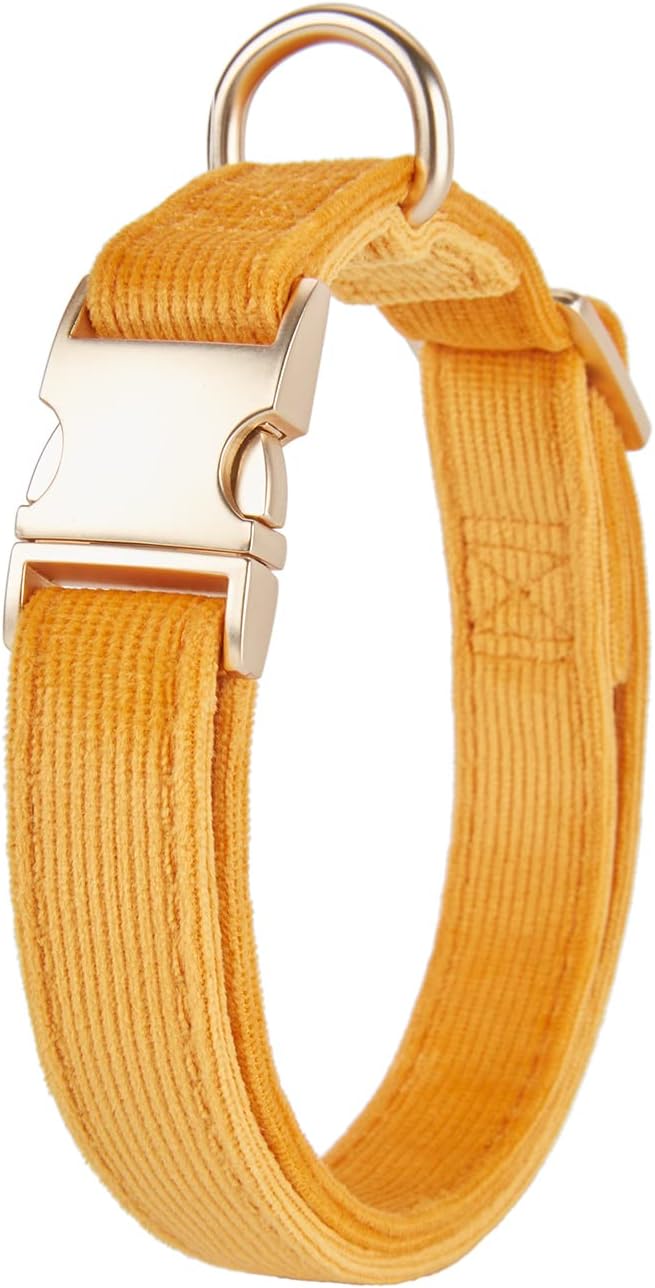 Soft Corduroy Fibric Dog Collar with High Grade Metal Buckle, for Medium Dogs.(Orange,Medium:12-19")