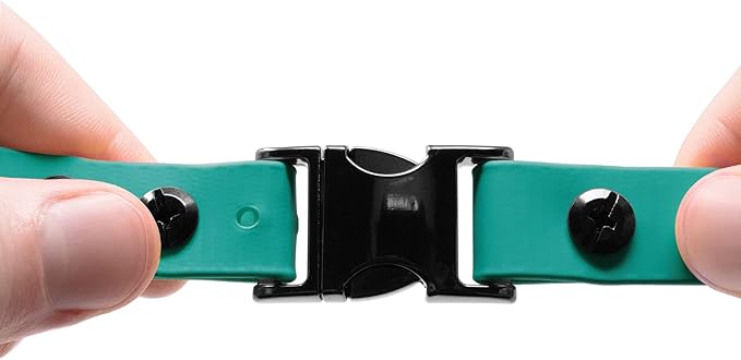 Educator 3/4″ Bungee Dog Collar – Biothane Waterproof & Odorproof, Metal Buckle & D-Ring, Comfort Bungee Loop, Trim-to-Fit – ONLY Fits ME-300, ET-300, ET-400, EZ-900, PE-900, PG-300 – Teal