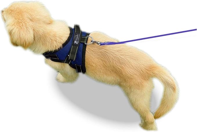 No Pull Reflective Adjustable Dog Harness With Handle- Comfortable Soft All Weather Mesh, Easy On Puppy Harness For Small Medium and Large Dogs (Blue) Medium