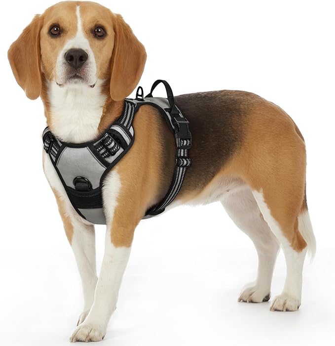 Eagloo Dog Harness Small Sized Dog, No Pull Service Vest with Reflective Strips and Control Handle, Adjustable and Comfortable for Walking, No Choke Pet Harness with 2 Metal Rings, Grey, S