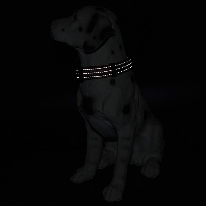 Mile High Life Dog Collar | Nylon Reflective Dog Collars | Light Weight Puppy Collars | Red Dog Collars for Medium Dogs (Solid Red, Medium)
