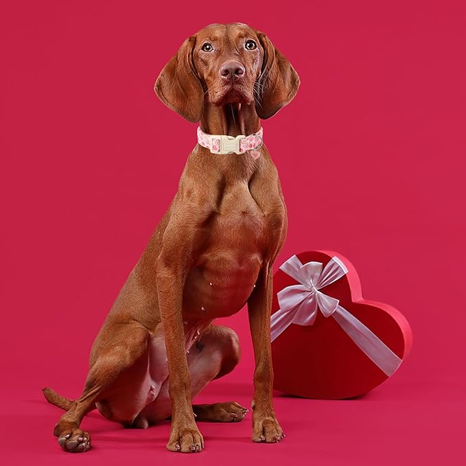 DOGWONG Pink Heart Dog Collar, XL (1.2" W x 16-26" L), Soft & Comfortable, Valentine's Day Special, for Small, Medium, Large Dogs