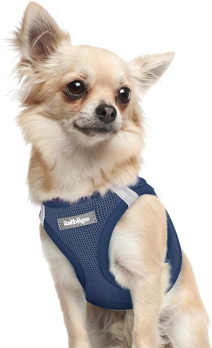 rabbitgoo Small Dog Harness, Step-in Soft Mesh Puppy Vest with Safety Buckle, Breathable Reflective Pet Harness for Extra Small Dogs, Navy Blue XXXS