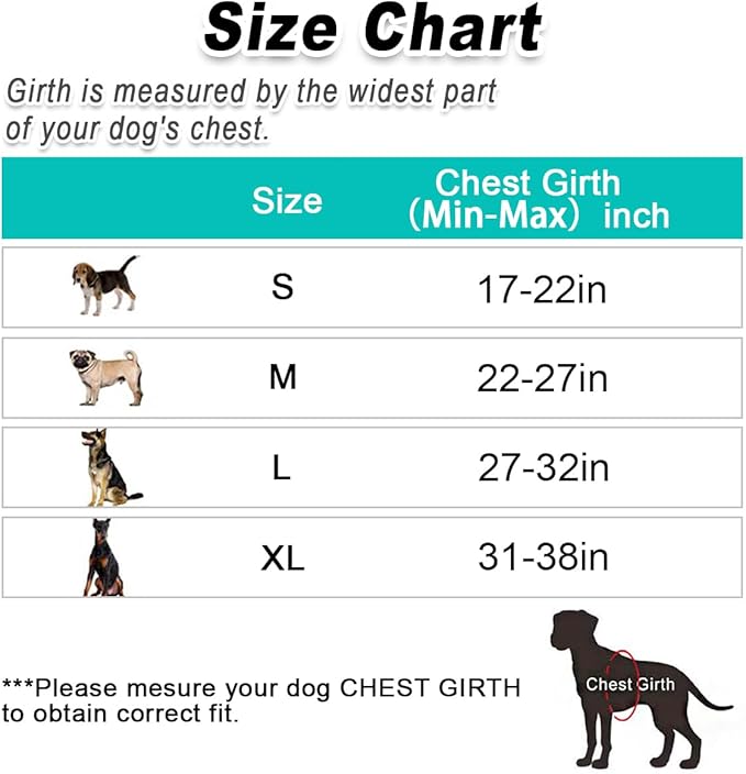 BARKBAY Dog Harness No Pull Mesh for Small Dogs - Adjustable, Reflective, Comfortable, No Choke, Heavy-Duty - Perfect for Outdoor Training, Walking, and Hiking - Strong & Durable - XS & Red Mesh