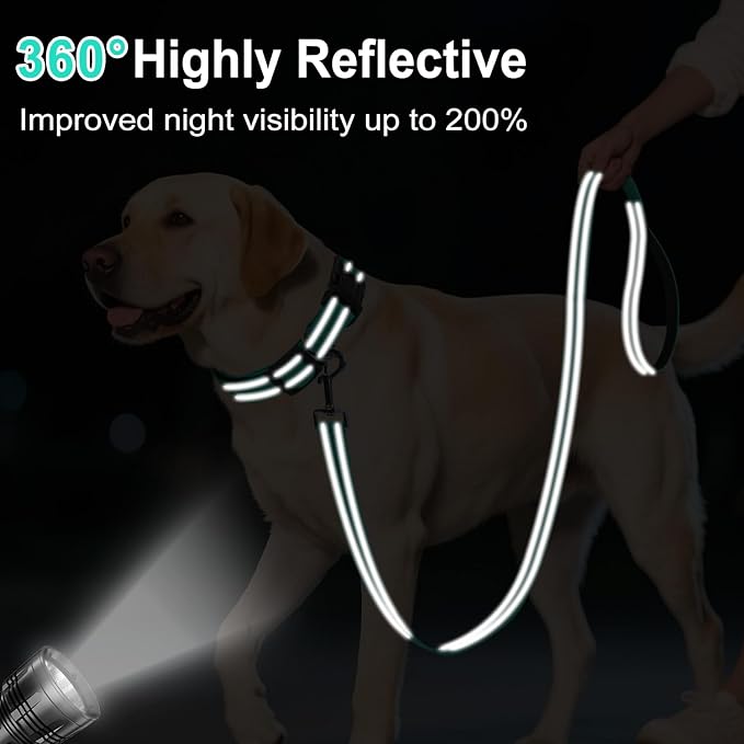 Reflective Dog Leash 6ft Soft Padded Handle Nylon Lead for Medium & Large Dogs, Durable Walking Training Leash for Night Safety (Turquoise,1Inch Wide)