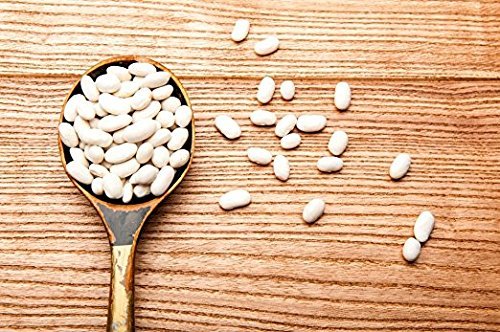 Food to Live Organic Cannellini Beans, 25 Pounds ??Non-GMO, Dried White Kidney Beans, Sproutable, Vegan, Kosher, Bulk. Pre-Soak Needed. Rich in Fiber, Protein. Great for Minestrone Soup, Bean Salad.