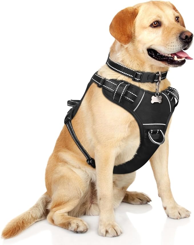 WINSEE Dog Harness No Pull, Pet Harnesses with Dog Collar, Adjustable Reflective Oxford Outdoor Vest, Front/Back Leash Clips for Small, Medium, Large, Extra Large Dogs, Easy Control Handle for Walking